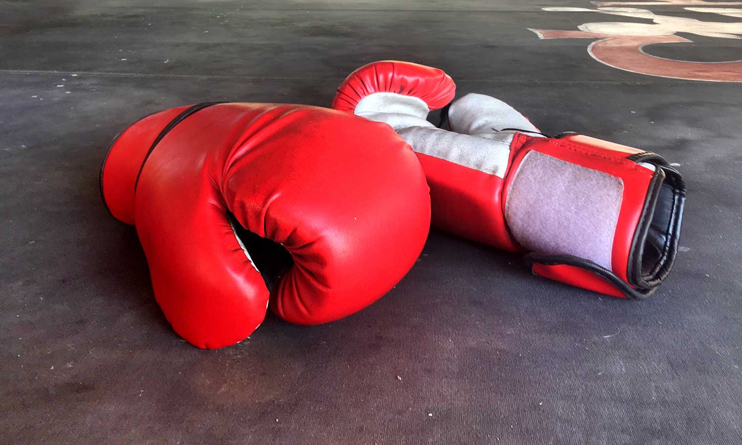 boxing gloves that you might wear if you're arguing with a bipolar person
